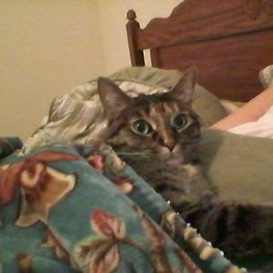 Meet your Posher, Patricia